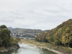 ざる菊その後と清流の里周辺