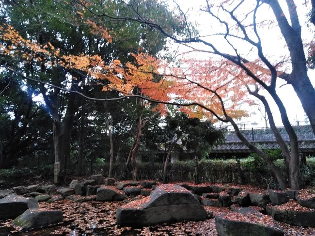 中野駅からバスで10分程のところにある公園です。<br />小さな丘といった感じで起伏があり、階段、坂ありで散歩というか、そこそこ運動になりました。<br /><br />混雑してなければ、コロナ渦でもお散歩に良さそうです。<br /><br /><br />哲学堂とは？？HPより。<br />https://www.tetsugakudo.jp/guide.html<br />哲学堂公園は、明治37年に哲学者で東洋大学の創立者、故・井上円了博士によって精神修養の場として創設された、哲学世界を視覚的に表現し、哲学や社会教育の場として整備された全国に例を見ない個性的な公園です。昭和50年に中野区立公園となってからも、古建築物の修復、整備を重ね、また中野区内でも有数の花の名所として親しまれる公園となっています。広大な敷地内には野球場・庭球場・弓道場もあります。