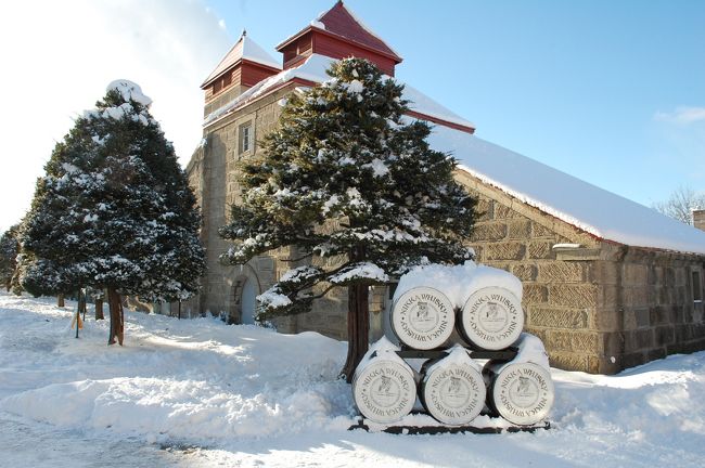 今年の2月に1泊2日で流氷ツアーへ行き、冬の北海道の美しさに感動！<br />また訪れたいと思うけれど2月は無理そうなので、12月の連休を利用して1泊2日で出掛けました。本当は道東へ行きたかったのですが、予算的にも時間的にも無理・・。ならば、札幌近郊で温泉宿に泊まって、北海道の自然風景とローカル線を楽しむことができるところは？<br />ということで、小樽の温泉宿「ふる川」に泊まり、ローカル線に乗って余市へそして馬と自然風景を見にノーザンホースパークを訪れました。<br /><br />１日目<br />セントレア（JAL3103　8：35）→新千歳（10：15）<br />快速エアーポートで小樽　→　ローカル列車で余市（柿崎商店・ニッカウヰスキー工場）　→　再び小樽に戻り小樽運河へ<br />宿泊は「運河の宿　小樽　ふる川」<br /><br />２日目<br />小樽　北一ホール（ランプの点灯見学）→　千歳空港　→ノーザンホースパーク　→　千歳空港（JAL3114　16：00）　→　セントレア（17：55）<br /><br />前日までの寒波は治まり、天候にも恵まれて充実した北海道への冬旅となりました。