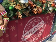 クリスマスディズニー☆　in　TDS②　～クリスマスのパーク編～