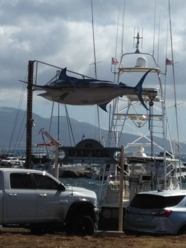 癒やし旅行