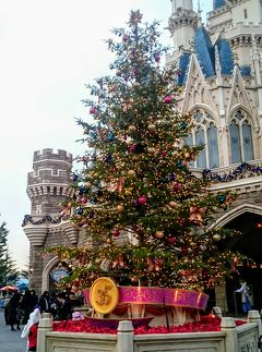 2018/12月 ディズニー大好きシニア夫婦の☆東京ディズニーランド クリスマス☆
