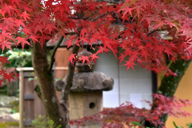 政治家･山縣有朋の別荘「古稀庵」と、電力王･松永安左ヱ門の居宅「老欅荘」をセットで邸園散策。<br /><br />前日までのお話はこちら<br />其之壱　https://4travel.jp/travelogue/11428814<br />其之弐　https://4travel.jp/travelogue/11431136<br />