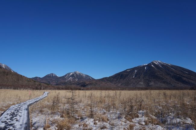 今年の自分的初雪を見に、戦場ヶ原に行ってきました!<br />
