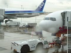 長崎空港でカステラを買って帰るだけの旅。ANA 777-200 HELLO 2020 JET