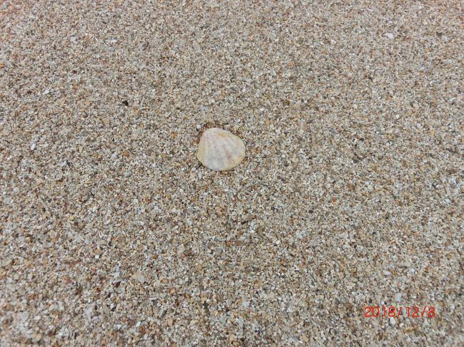 ハワイ2日目。さいたま姉妹は、オプショナルツアーでノースショア(North Shore)観光へ。観光は走る前に済ませねば!<br /><br />ホテル1Fの狭いレストランで軽食を頂きました。サラダ類が全くなくて物足りないけど、カリカリベーコンがたくさんあって感動^^アメリカ万歳!普段好んで行くアジアの秘境旅行だとなかなかお目にかかれないので、ここぞとばかりにお替りしちゃいましたwお支払い方法をきちんと理解していなくて少々トラブりましたが、店員さんがフレンドリーだったからいっか!<br /><br />8:10過ぎに日本人ドライバーさんにピックアップしてもらい、もう1組お迎えしてから半日観光へ出発です。あらっ、お二人も明日ホノルルマラソンを走られるんですね!しかも初フルですか!!一緒にがんばりましょう。今日は一日よろしくお願いいたします♪