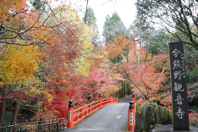 東福寺界隈の寺社紅葉撮影