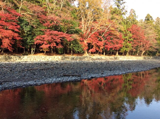 2018年12月1日（土）2日目<br />　2日目は内宮へ。内宮を参拝した後はおかげ横丁やおはらい町をぶらぶら散策し、ホテル近くの外宮参道でつまみ食いをし、伊勢市駅近くの伊勢百貨店でおみやげを購入し、あとは早めにホテルに戻り1日を終えました。