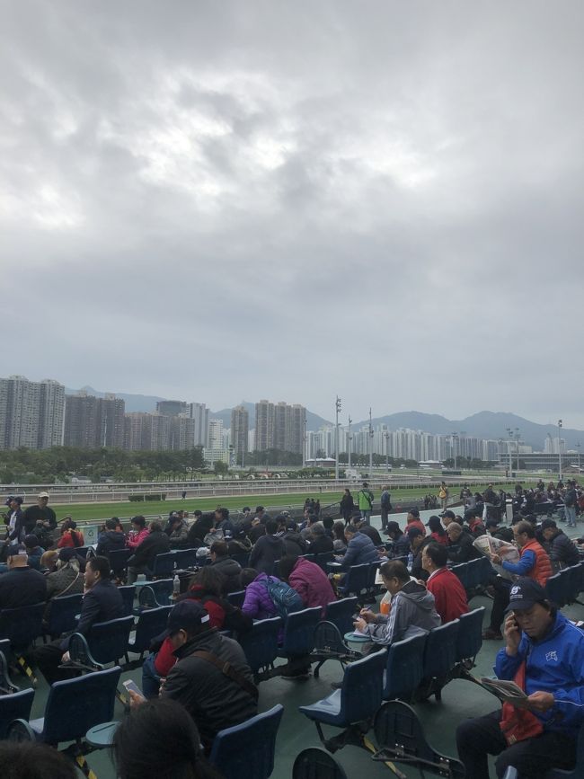 1年振りの海外は、競馬を観に香港へ！<br />毎年12月の2週目に香港国際競走デーがあります。<br />1日に4つのG1レースがあり、日本や各国の強い馬たちが参戦します。<br /><br />今年は出張でですが、飛行機に乗る機会も多く憧れのANAダイヤモンドに！！<br />それを記念してというわけではないですが、せっかくなのでANA(エコノミーですがw)に乗って行きました。