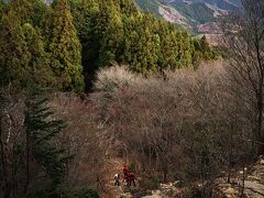 にわか山ガ～伊豆ヶ岳に立つ！