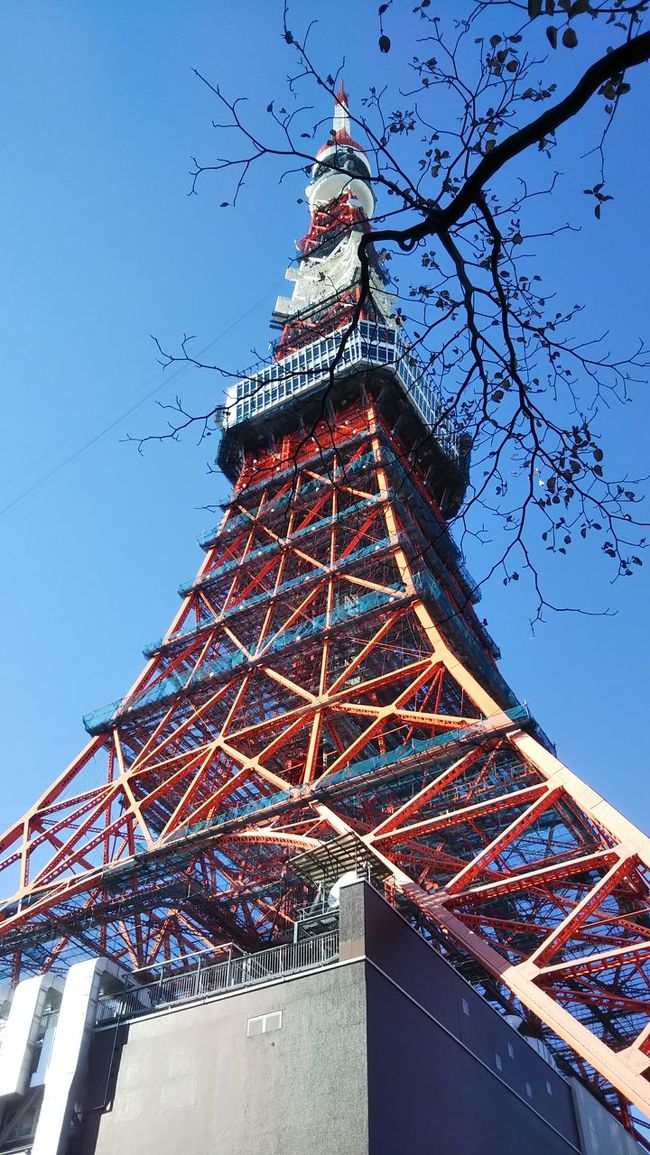 今年最後のウォーキング、新宿３丁目から新宿御苑～明治神宮外苑～東京ミッドタウン～東京タワー～日比谷公園～霞が関ときっちり歩いてきました。<br />とても寒い日で歩いているのに中々身体が温まらない。でも大都市東京の季節の移り変わりを、身体で実感できた貴重な１日でした。