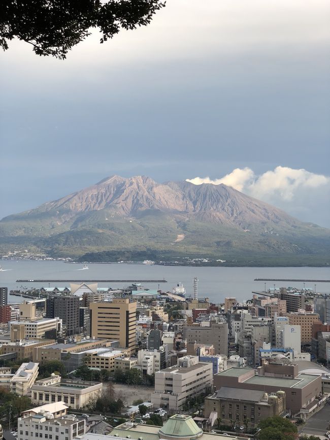 我が家は赤組！JALをこよなく愛する♡旅好き夫婦。<br />今年の夫婦忘年会は、どこかにマイルで国内旅行♪