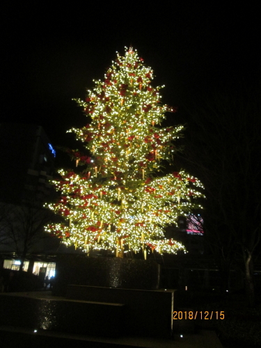 六本木ヒルズ内のクリスマスイルミネイションを見てみました。「66プラザ」には高さ約10mの本物のもみの木を使ったクリスマスツリーが、「ウェストウォーク」にはニットをモチーフにした独創的なクリスマスツリーがありました。毛利庭園から見た東京タワーが綺麗です。思った程イルミネイションは少なかった。<br />