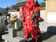 拘りのお花屋さん はここにありました 田端 東京 の旅行記 ブログ By 仕事旅さん フォートラベル