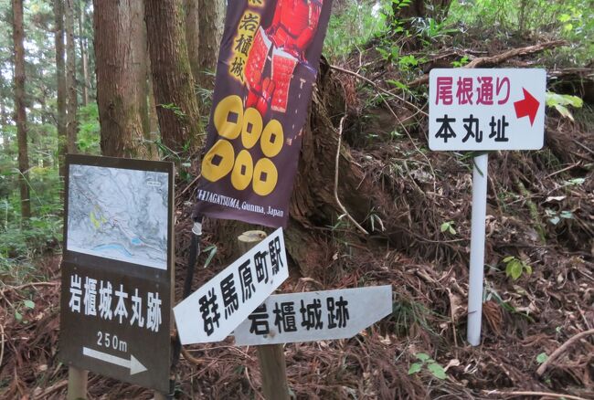 群馬の続百名城と長野の百名城巡りです。最初に、群馬県の続百名城の岩櫃城(いわびつじょう)に向かいました。