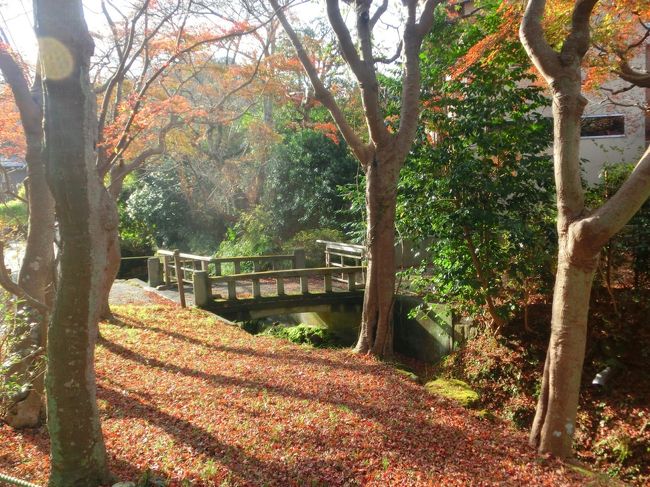 鎌倉　行く秋  明月院に行く道の紅葉　