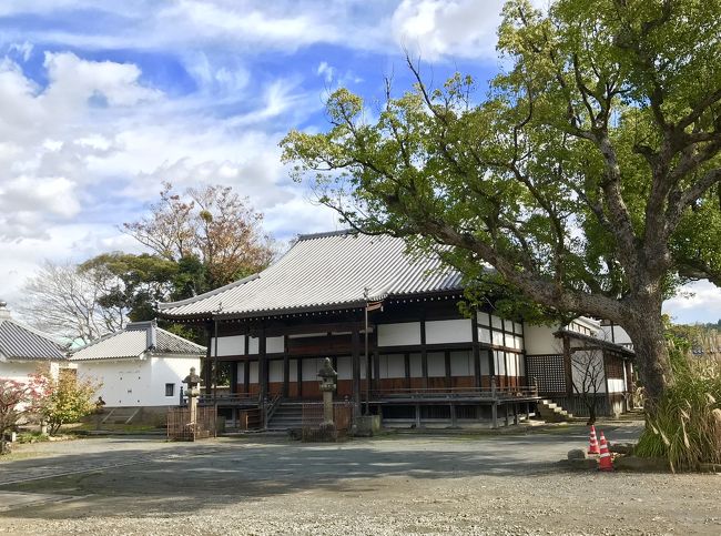 鹿児島、唐津、杖立温泉に一泊ずつ宿泊しました。<br /><br />本日は九州を去りますが、その前に大分県日田へ寄りました。