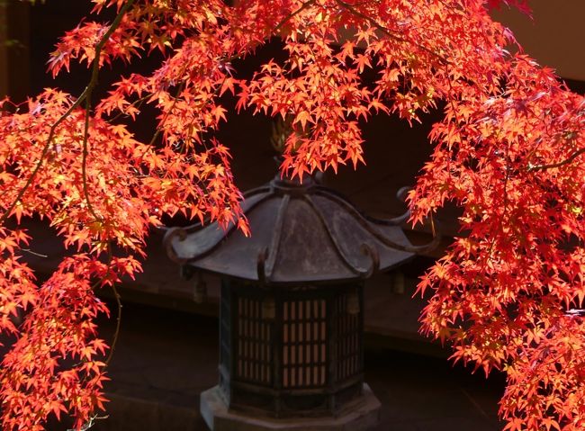 前回訪問（2018年11月15日）の６日後、桐生市の「崇禅寺」を再訪しました。前回３～４割の進み具合だった紅葉は、見頃になっていました。見事な紅葉を堪能しました。<br /><br />旅行記作成に際しては、崇禅寺のホームページを参考にしました。