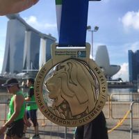 シンガポールマラソン2018 参加しました　2泊4日旅行記②