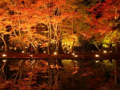 愛知の紅葉の名所に行ってみました。（小原の四季桜、香嵐渓、曽木公園）