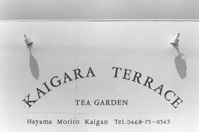1980年代に葉山の森戸神社近くにあった”伝説”の喫茶店。<br />当時は湘南を紹介する情報誌で紹介されていたはずですが、今ではWeb検索でも画像はおろかほとんど情報が出てきません。<br />その少ない情報を見ると、今の台湾桃園空港ターミナルを手がけた建築家の團紀彦さん(父親は作曲家の團伊玖磨さん)が、大学院時代に手がけた処女作とのことで、10年間の期間限定のお店だったようです。<br />杉山清貴さんの「UMIKAZE TSUSHIN (海風通信)」という曲の中でも謳われています。<br /><br />葉山は自宅からは2時間ほどかかるのですが、子供の時、父親が勤めていた会社の海の家があったため、親父と何度か行ったことがあり、昔から愛着のある場所でした。<br />森戸神社付近の海岸は岩場。<br />時間があるときは比較的平らな岩の上で寝転び、本を読むなどして時を過ごしたものです。<br /><br />撮影から34年以上経ち、おぼろげな記憶すら薄れていきます。<br />現在ならばいろいろなクチコミサイトで紹介されるのでしょうが、もちろん当時はインターネットどころかパソコン通信すら発展途上。したがってWeb上の記録としてはほぼゼロ状態です。<br />ですからこんな素晴らしい喫茶店があったことを、みんなが見られる記録として残し、伝えたいと思います。<br />かつてカイガラテラスを利用した皆さんと記憶を共有したいため、撮影した画像を取捨選択せずに全てアップします。<br />おそらくたくさんの方がカイガラテラスで写真を撮影しているはず。<br />皆さんもこれをきっかけにWebアップして頂けたら嬉しい。<br /><br /><br />昔の撮影記録を見たら、モノクロとカラースライドの2種類のフィルムで撮影していたようです。<br />今回はまずスキャンを終えたモノクロフィルムを投稿します。