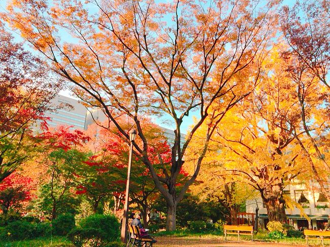 日比谷公園の紅葉、東京、2017.11