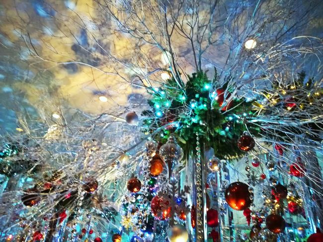師走に入り年末が近づくと、町を歩けばどこもかしこもクリスマス尽くし。<br /><br />子供の頃は商店街に流れるクリスマスの音楽を聴くと“サンタさんは何を持ってきてくれるのかな? 私は今年は良い子にしていた?”なんて思いながらも、その日がやってくるのを心待ちにしていたものですが、そんなサンタさんの魔法はもう心も体もオトナとなってしまった私には効力も発揮せずに、賑やかなクリスマスソングを耳にしても“あぁ、今年ももう終わりか…”と思う位です。<br /><br />でも、やはり美しくデザインされたクリスマス・デコレーションを目にすると、ちょっとだけ心が明るく揺れます。<br /><br />12月に訪れた六本木。<br />かつてのオトナの街:六本木の彩りを、日中と夜バージョンの二日に分け、心の副音声つきで楽しんできました。<br /><br />