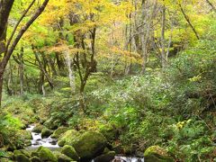 紅葉三昧・山陰旅行記☆2日目（三朝温泉～大山）