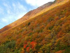 奥飛騨の紅葉＆黄葉、温泉を楽しむ旅