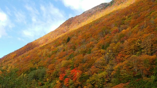 １０月下旬　紅葉が見頃を迎えた奥飛騨へ<br />宿泊先は奥飛騨温泉郷新穂高温泉の中尾高原ヒュッテ<br />天気に恵まれ素晴らしい紅葉＆黄葉を見ることが出来ました