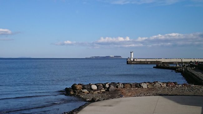 ここ数日間天気が良いので、伊豆に海の幸と海鮮丼が食べたいと思い伊豆へ行きました。<br />車は修理中なので、電車での旅になりました。<br /><br />&lt;目的地&gt;<br />伊東・伊豆高原<br /><br />&lt;宿泊先&gt;<br />ラフォーレクラブ 伊東温泉 湯の庭<br /><br />&lt;交通手段&gt;<br />池袋駅から東京駅(丸ノ内線)<br />東京駅から熱海駅(JR東海道新幹線)<br />熱海駅から伊東駅(JR伊東線)<br />伊東駅から池袋駅(JR伊東線・特急踊り子号)<br />