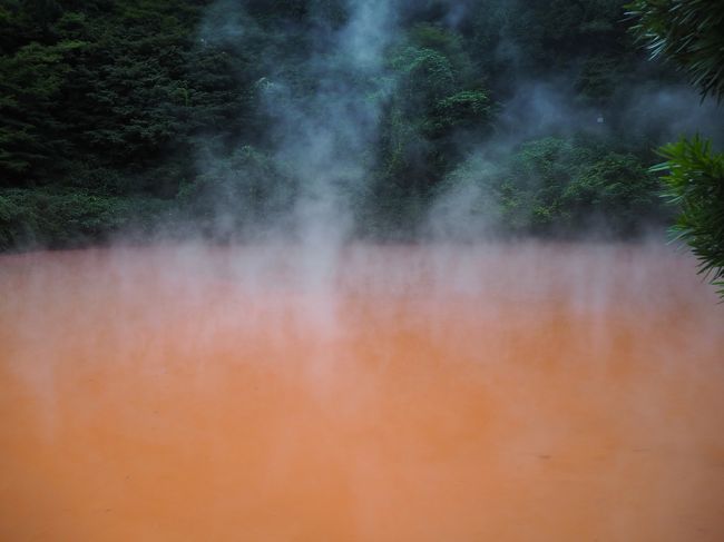 大分旅行第二弾。<br />本来であれば締まるはずだったこの日は、別府温泉で地獄めぐりです。<br />やはり大分行ったなら別府行っとかなきゃな、という事で日本最大級の温泉地へ行ってきましたが、やはりさすが別府、北別府という感じでした（意味なし）。<br />別府に行く前の、朝散歩で大分府内城巡りと合わせてご覧いただければと思います。<br /><br />なおタイトルにあるように、別府地獄めぐりの後に起こった地獄というのは、こちらの旅行記の内容となります。<br />「【緊急レポート】2018.9.16大分空港滑走路閉鎖顛末記」<br />　https://4travel.jp/travelogue/11402510<br /><br />そこまで地獄じゃねぇだろというツッコミがあるかもしれませんが、まぁタイトルとしてはいいんじゃねぇかなと思いまして、ちょっと盛ってみました。<br /><br />そしてあらためて一言。<br />「パイロットのア〇～～～！　いくら時間経過しても許さんぞ！！！」<br />小さい人間の一言、失礼しました。<br /><br />あ、温泉入るの忘れた。