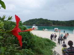 川平湾の観光。グラスボートに乗って，サンゴとサカナの鑑賞。効率の良い観光地。