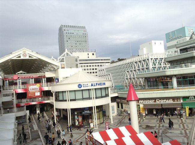 あと旬日で平成30年が終わろうとしています。<br />48年前 、1970大阪万博の前後に大規模開発された千里NewTownは大部分が吹田市域で西北の約1/4 が豊中市域の構成です。千中と呼ばれる千里中央駅一帯は北町 東町 西町 南町からなる豊中市域の中心 東町辺りです。<br />嘗て桃と筍を産する竹林に覆われた丘陵は時代に応じて変容しつつ進化発展してきました。交通面では北大阪急行のモノレールで伊丹空港から千里中央を経て万博記念公園~茨木 門真 にアクセスし地下鉄御堂筋線で新大阪~梅田~難波~天王寺~我孫子 へと繋がっています。<br />千里ICで御堂筋と交差する 近畿自動車道 中央環状線などの幹線道路も謂わば万博の産物でしょう。<br />大阪を懐かしむ友人から 今時の千中の様子を知りたいと要請があったのを機会に千中漫歩と相成りました。<br />すべてを語るには日にちが足りませんが取り敢えず2回に分けてのレポートです。