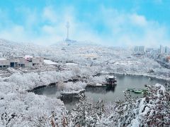 2019冬の韓国旅行おすすめコース！大邱Ver.