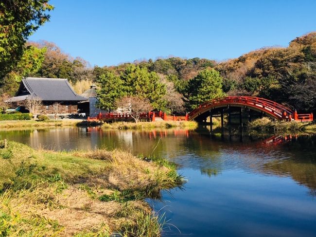 横浜市の名刹「称名寺」と、大銀杏が有名な「雷神社」に参拝してきました