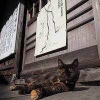 2019年2月 週末温泉旅 in 大分 ～ 国東半島、「山香温泉 風の郷」「壁湯温泉 福元屋」