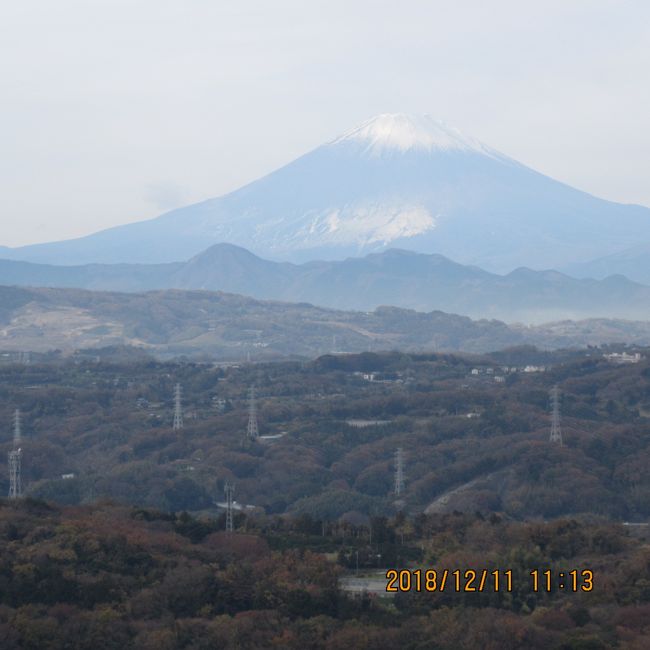 忙中閑ありと言ってはみましたが、現役引退して、毎日が日曜日・ドライブと温泉が楽しみな・暇人（ヒマジン）・です。[’４Travel]の旅行記を寄稿するのも楽しみのひとつで、今日もまた出かけました。<br />「東横インホテルズ」にはポイント取得のシステムがあります。通常は一泊が１ポイントですが、毎月１０日はポイントがダブルで取得できる日です。１０ポイントで一泊が無料になります。<br />今回は特に大きな目的はないのですが、ドライブと温泉を目的にでかけました。　初日の宿泊は平塚で、２泊目は西伊豆の「大仁ホテル」を予約です。<br />天候は高曇り・雨の心配はなさそうです。<br />平塚に宿泊の翌日は近場の「湘南平公園」に立ち寄ります。湘南では一番の標高で車で頂上まで上がれます。頂上には展望台（レストラン）があり、駐車場スペースも割合と広いです。土日・祝日・桜の季節は満車・混雑します。曇り空なのですが、３６０度の展望が観られました。「天城山」・「箱根山連峰」・「富士山」・「丹沢連峰」・「相模湾」・「江ノ島」・三浦半島」の全部が見えます。「大島」だけが雲に覆われて視られませんでした。<br /><br />表紙の写真は「富士山」<br />