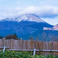 2018/12 記念日旅行 別府・湯布院・博多 ゆったり温泉と食いだおれの旅（前編）