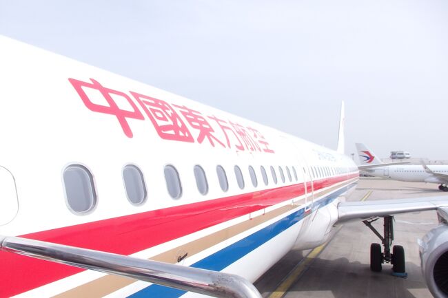 いよいよ楽しかったGWの旅行も最終日。乗り継ぎ地である上海から帰るのですが……。なんか起床したら体がだるい。どうやら長旅の疲れが出てきたようです。軽く風邪気味の中、頑張って中国から日本へと帰ります。<br /><br />614冊目 2021/06/12投稿