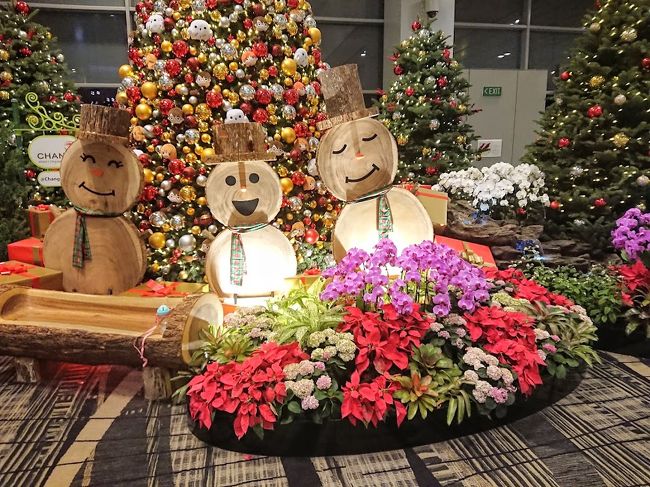 今年最後の旅行はインドネシア<br />ジャカルタから列車でネシアの避暑地ともいわれるバンドンへ<br />１週間の旅でしたが、ネシア名物の渋滞に至る所で嵌ってしまって<br />イライラ～旅でもありました(笑)<br /><br />