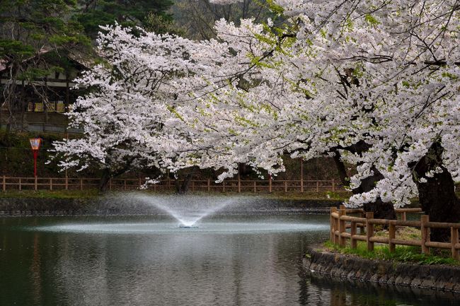 2018年の4月下旬、桜前線が北上してきた東北・秋田県に、お花見をメインとした2泊3日の旅へ。<br /><br />秋田空港に降り立ち、最初に向かったのは秋田県東南部に位置する横手市。<br />このうち、今回は、”日本さくら名所100選”にも選ばれている「真人公園」と、江戸時代から商都として栄え、当時の繁栄ぶりを今に伝える「内蔵」が残り、”重要伝統的建造物群保存地区”にも選定されている「増田」をそぞろ歩きしてみることに。<br /><br />東京からだとアクセス的にかなり大変ではあるものの、今回思い切って訪れてみたところ、「真人公園」の美しいさくらたちは勿論のこと、「増田」の旧家に残る黒漆喰で仕上げられた内蔵の外観と内部の瀟洒な雰囲気に驚かされ、ここまで足を延ばしてみて良かったな~と感じさせるスポットでした。