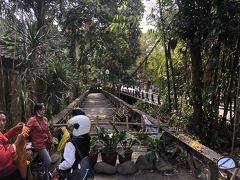 今年２回目のバリ島　ウブド編