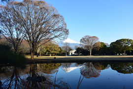 散歩 2018.12.19 ＝晴れて綺麗な富士山が見えました＝