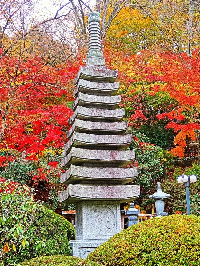 永源寺・・朱色に染まるもみじ寺の秋<br />通称もみじ寺と呼ばれる永源寺。その名の通り、シーズンともなれば境内を埋め尽くす赤や黄色のもみじが素晴らしい景色を作り出してくれます。大子七福神の紅一点、弁財天をまつるお寺で、高台にあるため、境内からは大子町を一望することができ、町全体の紅葉も楽しめるお得スポットです。<br />https://www.ibarakiguide.jp/db-kanko/eigenji.html　より引用<br /><br />永源寺（弁財天）　　芸能の神<br />七福神のうち紅一点の弁財天は、そもそもインドの神様でもとは水の神様です。日本に伝来してから弁舌や音楽を司る芸能の神として信仰されました。<br /> 弁舌の神で、知恵や学問は福財をもたらしてくれることから財宝を与えてくれる神としての信仰ができました。それまで「弁才天」と書かれていたのが「弁財天」となり福の神の仲間入りをしました。大子の弁財天は、手が八臂（はっぴ）あるところから”八臂弁財天”とも言われています。<br /><br />文安3年（1446）に創建。曹洞宗で臥雲山と号し、本尊は釈迦如来。<br />1864年、天狗党の乱で寺の大半を焼失。現本堂は、1953年に再建され、後に鐘楼を建立。JR常陸大子駅うらの高台に位置し、街の中心部を一望できる。<br />http://www.daigo-kanko.jp/?page_id=36　より引用<br /><br />大子町の観光　については・・<br />http://www.daigo-kanko.jp/