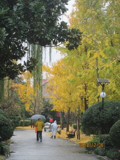 上海の東体育館路・曲陽公園・運動公園