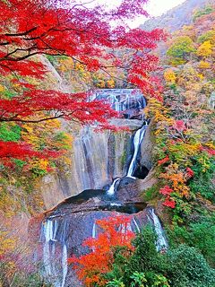 大子-4　袋田の滝　第２観瀑台から全景を眺め　☆紅葉の時季・茨城県民の日で無料