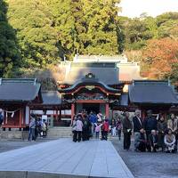 霧島の紅葉はまだら模様？