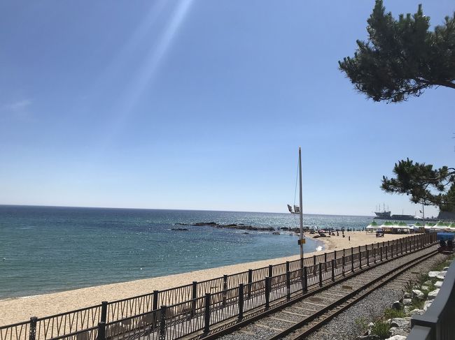 江陵で「海列車」に乗りました。<br />天気が良く、海も空もとても青くて<br />綺麗でした！！