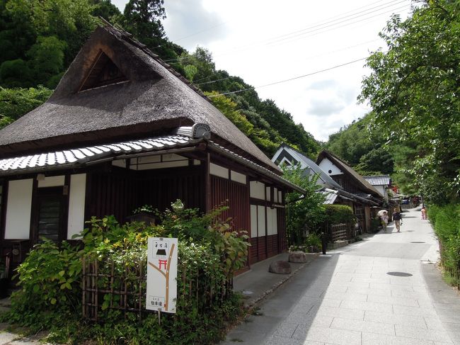 2018/8/11　黒門市場・法善寺横丁・甲子園<br />2018/8/12　嵐山・天龍寺・嵯峨野竹林の道・嵯峨鳥居本